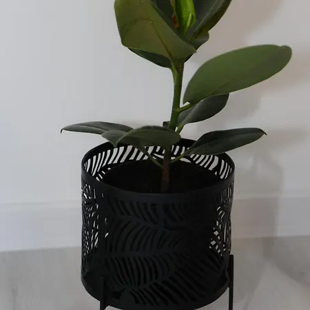 Keman Apartment Mostar