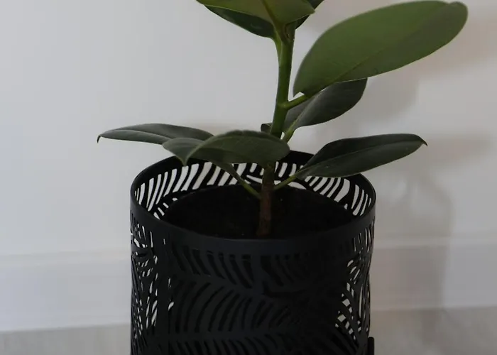 Keman Apartamento Mostar